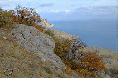 Прикрепленное изображение: 3.JPG